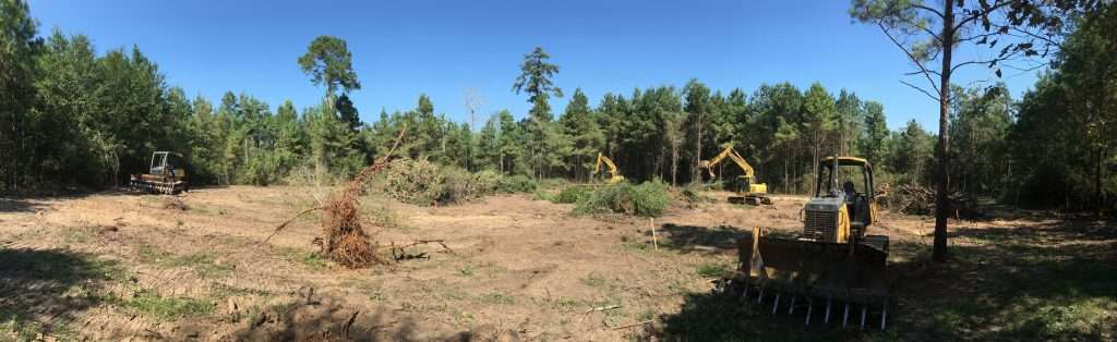 Land Clearing