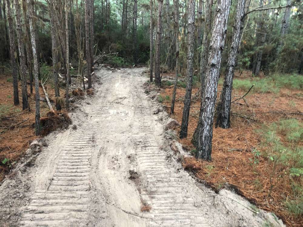 fence-line