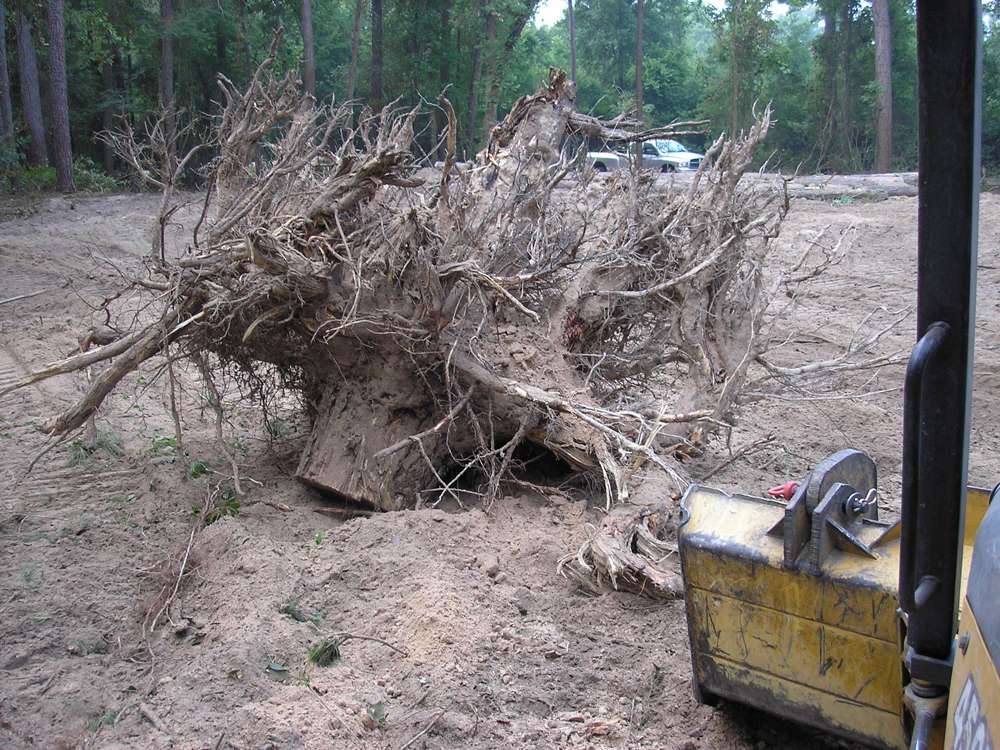 stump-removal-4