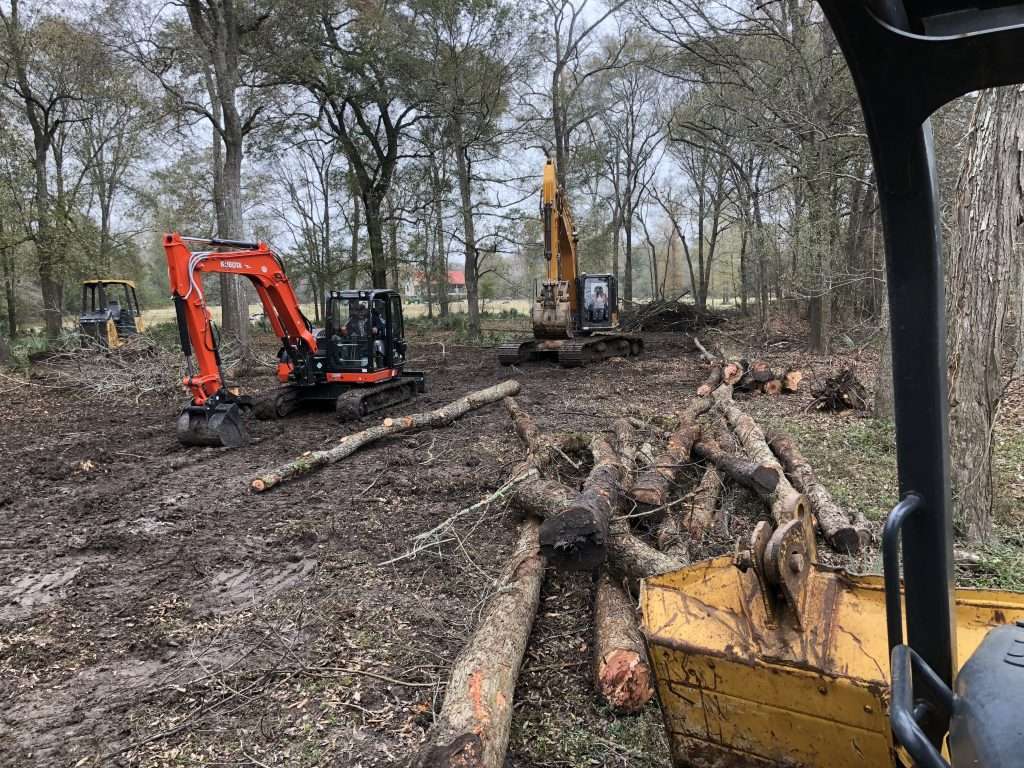 Trees Processed instead of into Burnpile