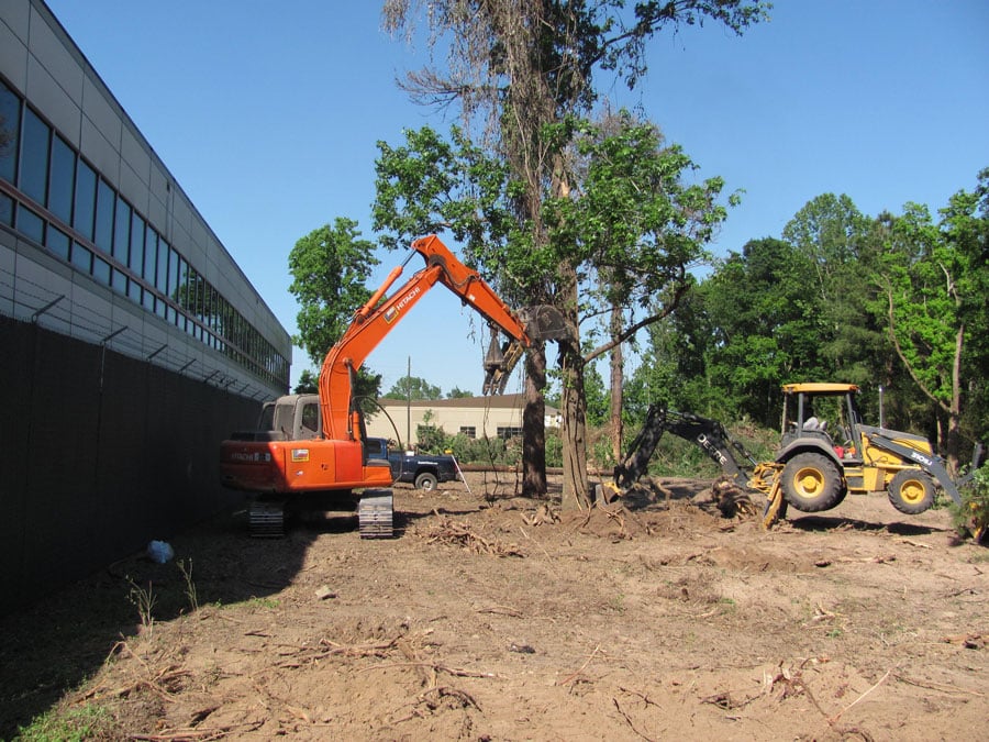 tree removal for commercial land clearing