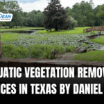 Aquatic Vegetation Removal Solutions for Houston Area