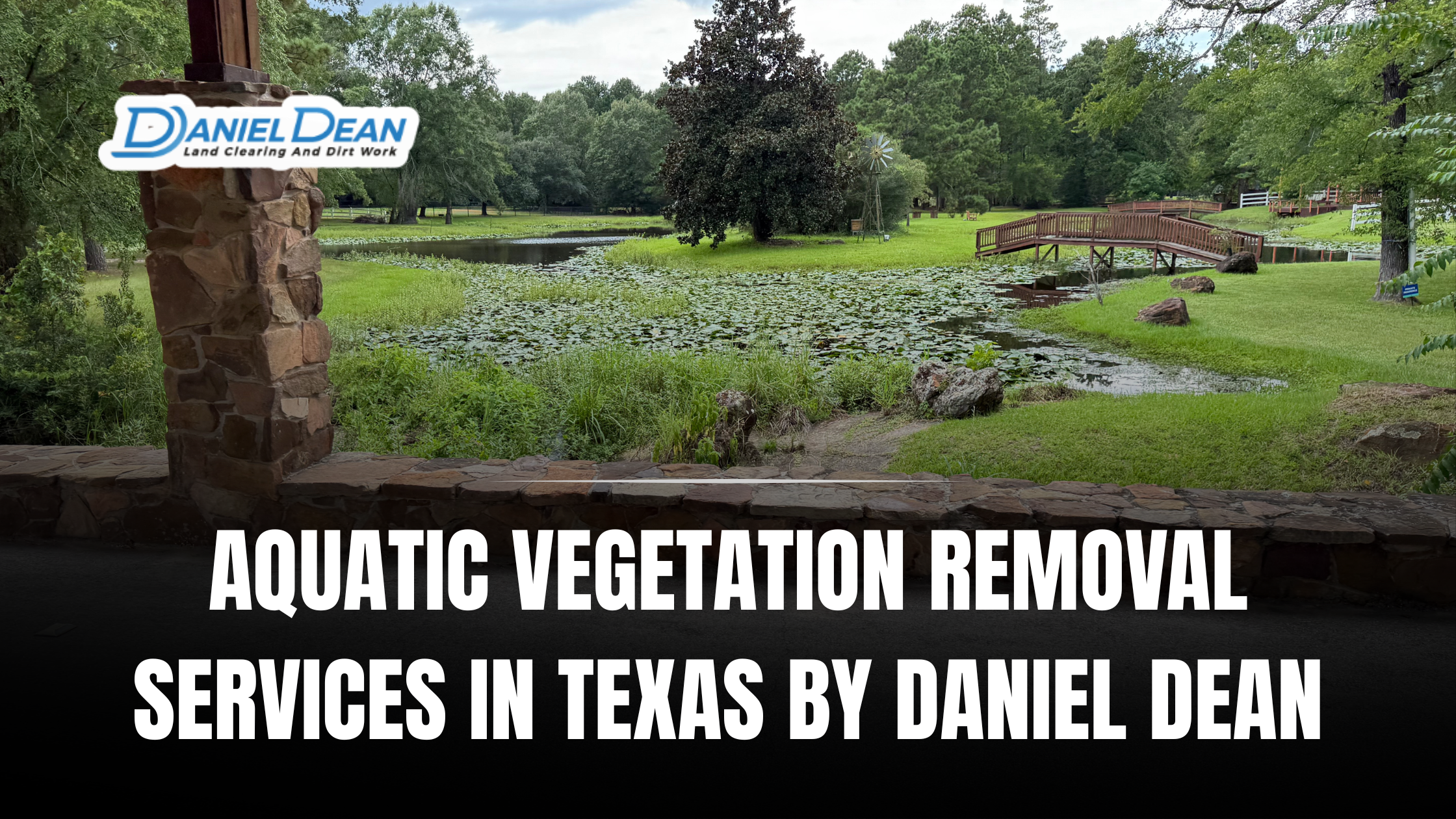 Aquatic Vegetation Removal services in Texas By Daniel Dean