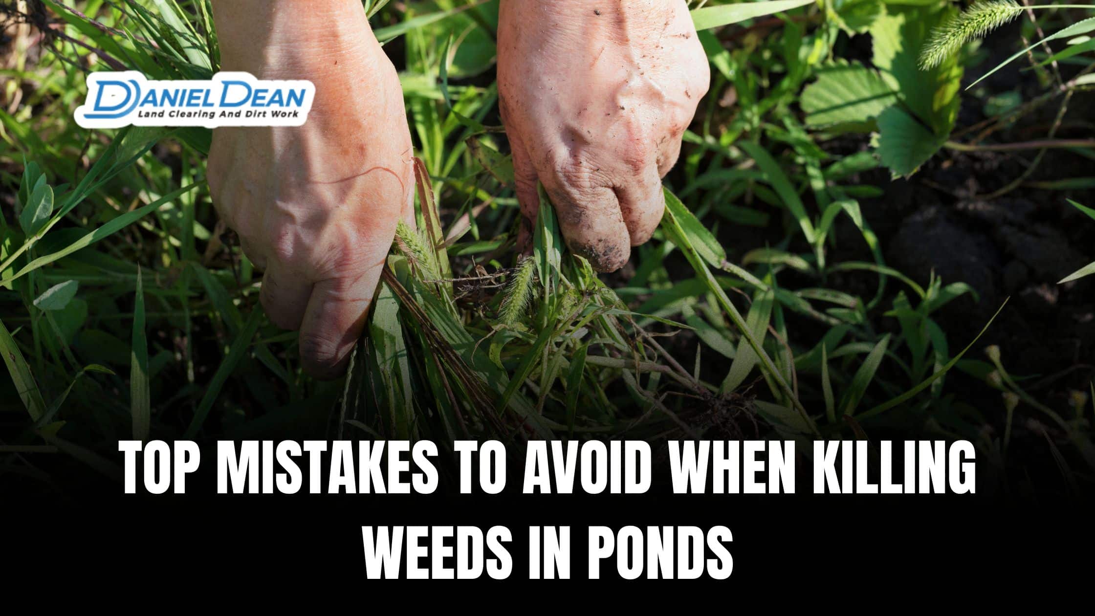 Top Mistakes to Avoid When Killing Weeds in Ponds