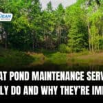 What Pond Maintenance Services Actually Do and Why They’re Important