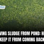 Removing Sludge From Pond: How to Keep It From Coming Back