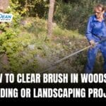 How to Clear Brush in Woods for Building or Landscaping Projects