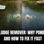Pond Sludge Remover: Why Pond Smells and How to Fix It Fast