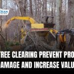 How Tree Clearing Prevent Property Damage and Increase Value