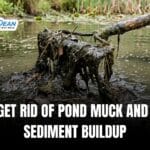How to Get Rid of Pond Muck and Prevent Sediment Buildup