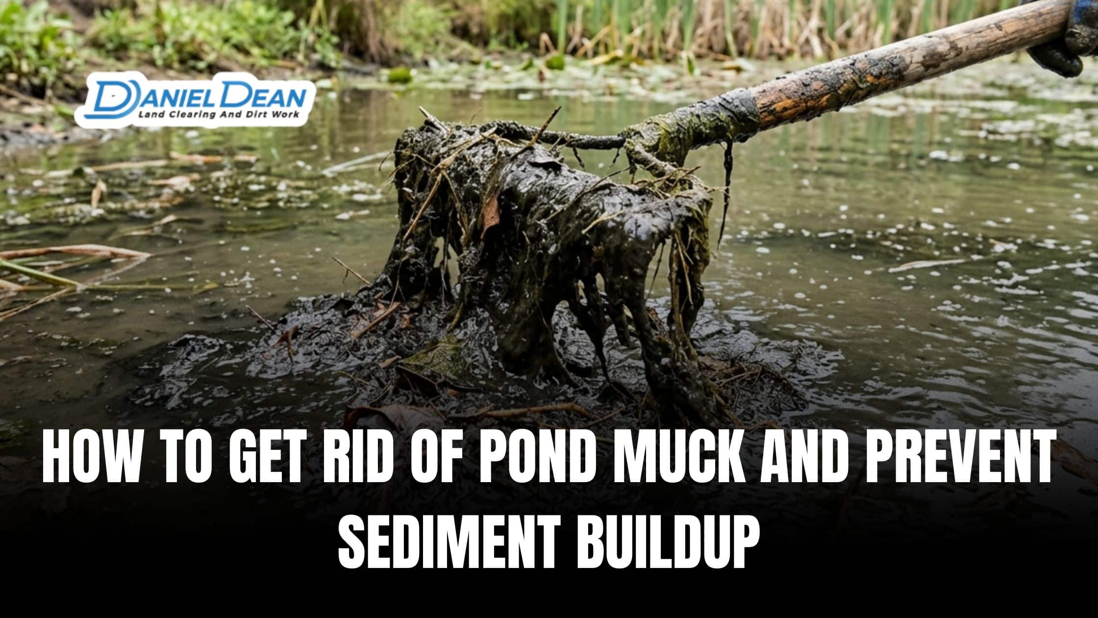 How to Get Rid of Pond Muck and Prevent Sediment Buildup