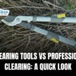 Brush Clearing Tools vs Professional Land Clearing: A Quick Look