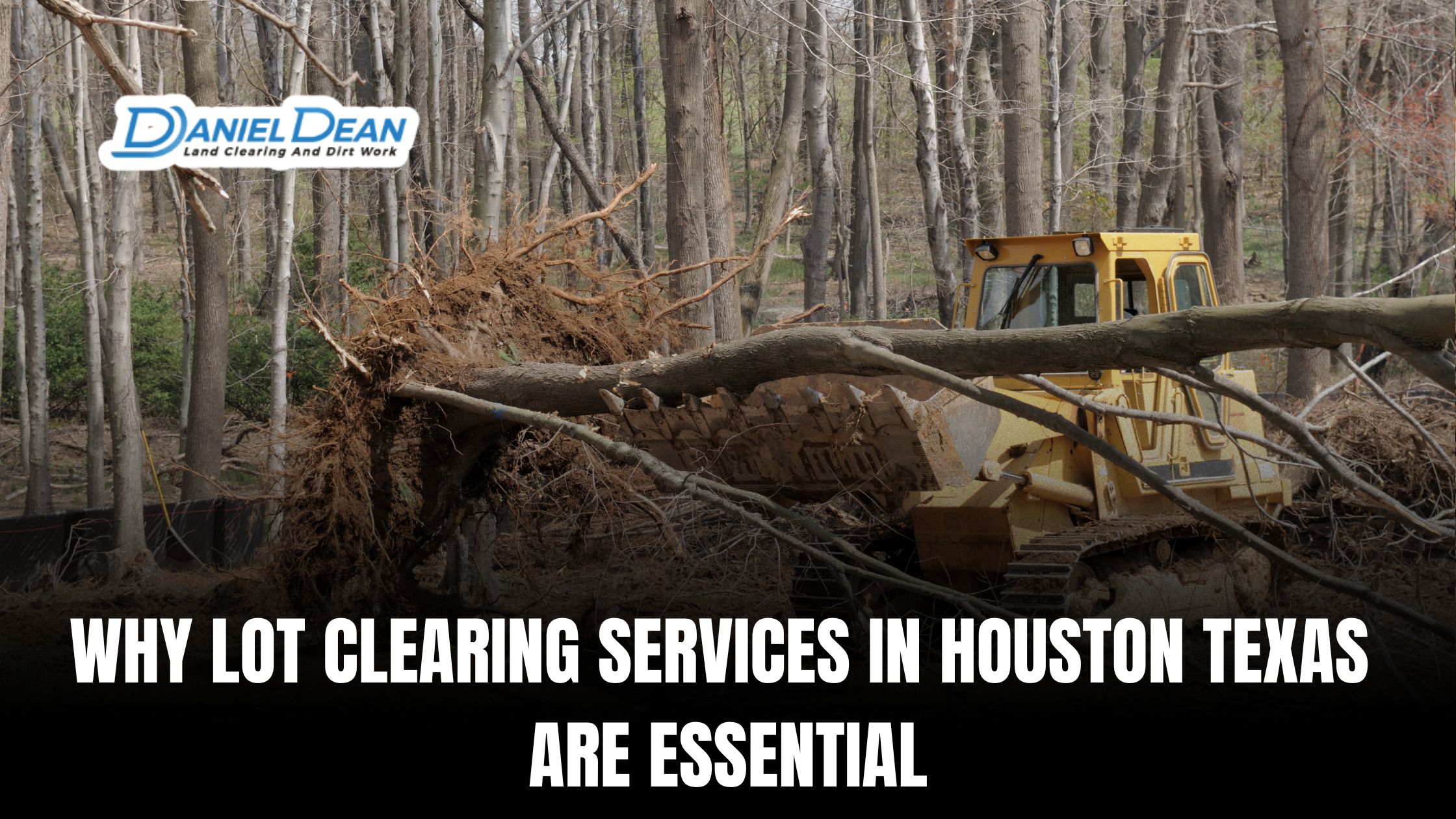 Why Lot Clearing Services in Houston Texas Are Essential