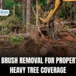 Tree and Brush Removal for Properties With Heavy Tree Coverage
