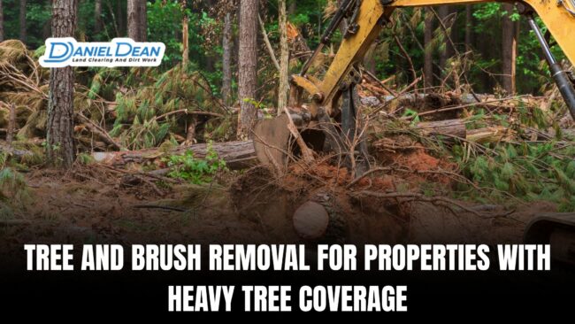Copy of Copy of Copy of How Much Does It Cost to Clear Land in 2025 (7) Tree and Brush Removal for Properties With Heavy Tree Coverage