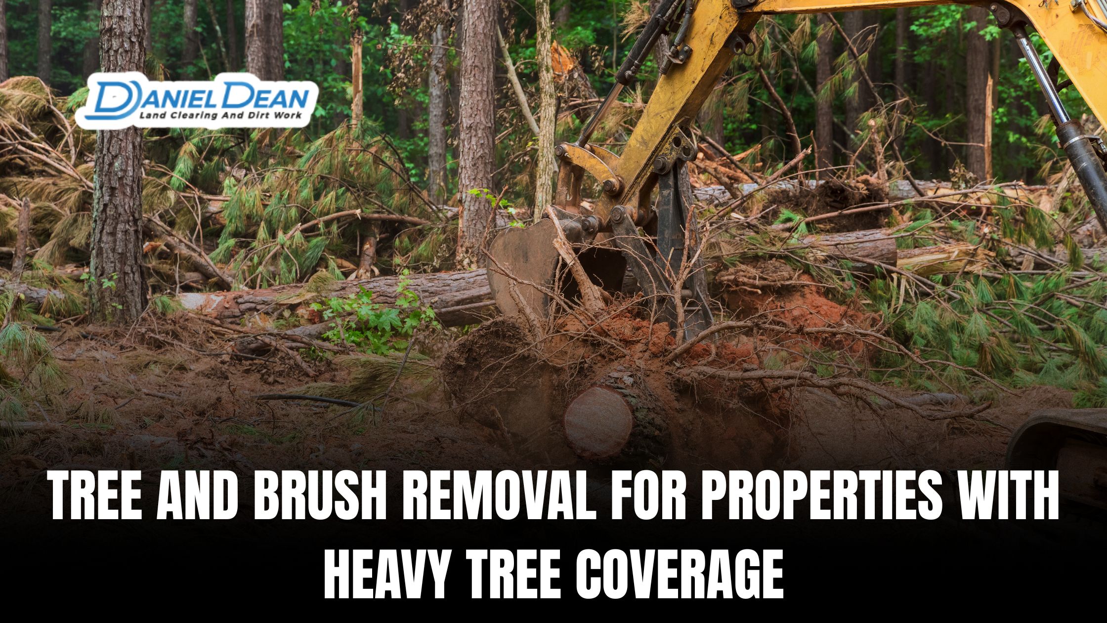 Tree and Brush Removal for Properties With Heavy Tree Coverage