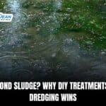 What Is Pond Sludge? Why DIY Treatments Fail – Dredging Wins
