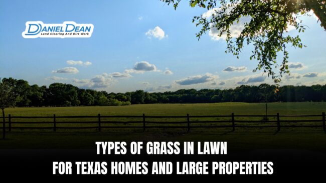Types of Grass in Lawn for Texas Homes and Large Properties