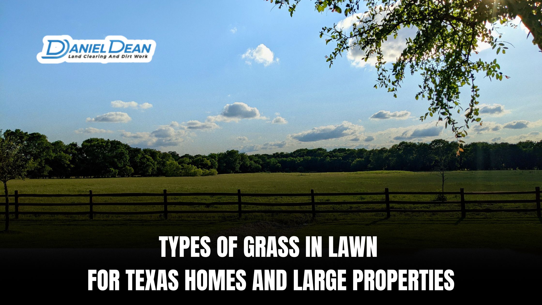 Types of Grass in Lawn for Texas Homes and Large Properties