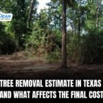 Tree Removal Estimate in Texas and What Affects the Final Cost