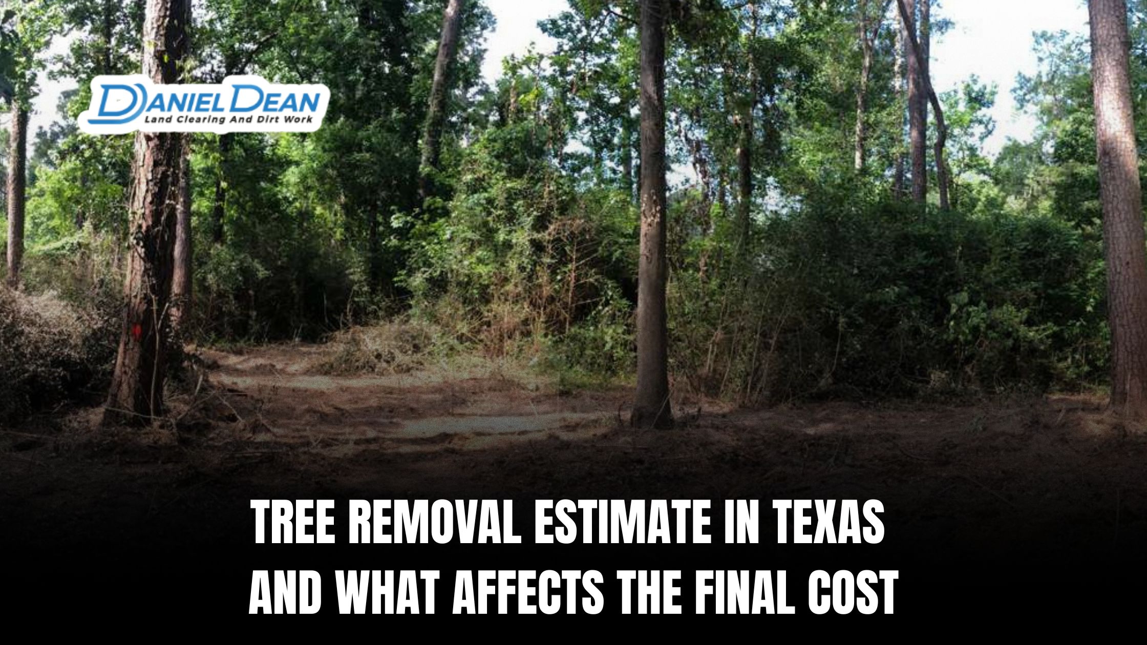 Tree Removal Estimate in Texas and What Affects the Final Cost